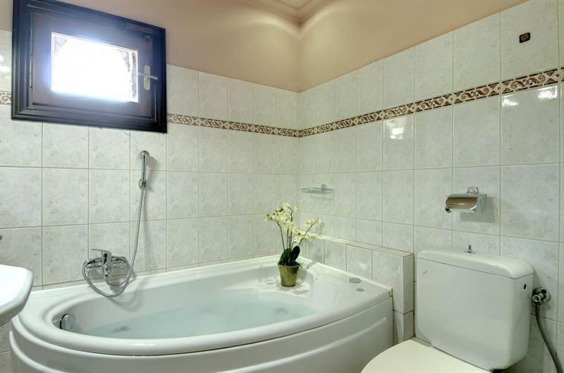 Iatrou Guesthouse Portariá Pokoj fotografie