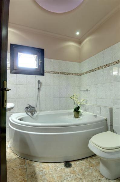 Iatrou Guesthouse Portariá Pokoj fotografie