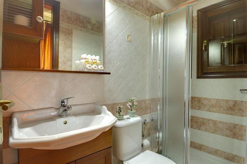Iatrou Guesthouse Portariá Pokoj fotografie